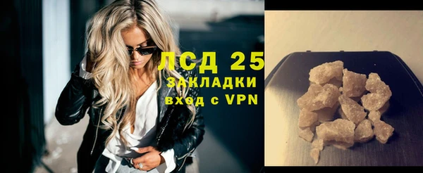 прущие грибы Пролетарск