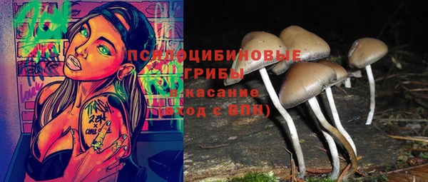 прущие грибы Пролетарск