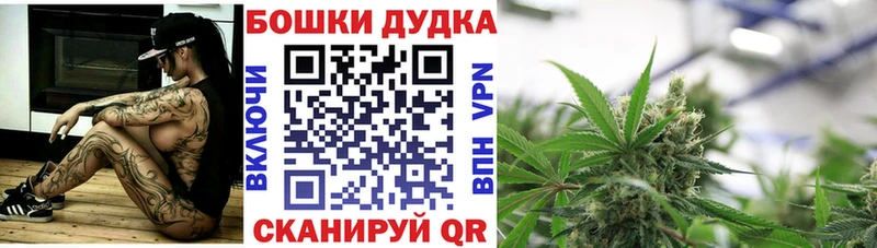 Конопля ГИДРОПОН Судак